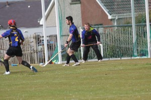 Lewis v Lochcarron Shinty